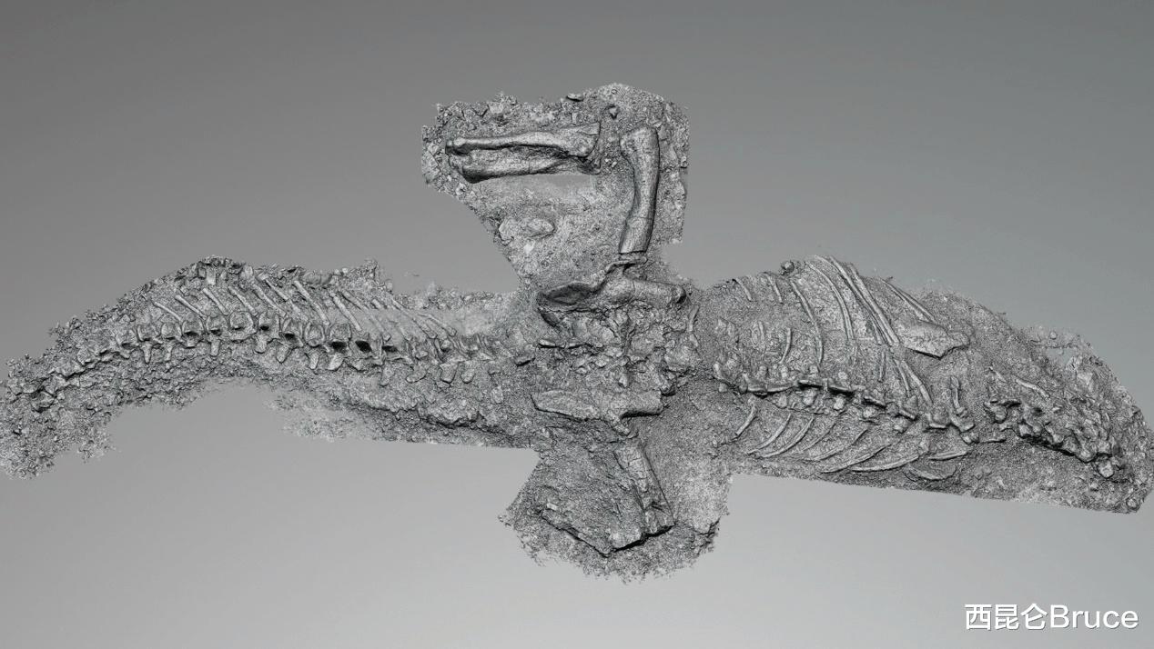 恐龙 云南再度出名!禄丰时隔83年再现恐龙化石,大雨冲刷无意发现骨架