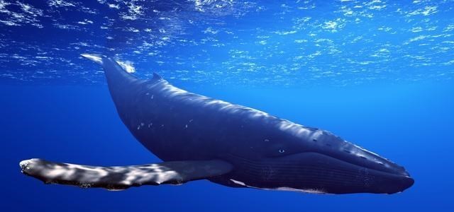 石器时代 你见过知道的微信昵称最有诗意是什么？