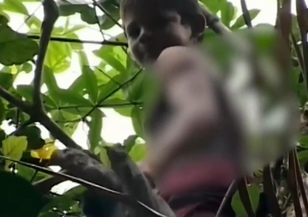 奇趣大天|玩命小孩！？巴西亚马逊河道，激流中用生命售卖的商贩！