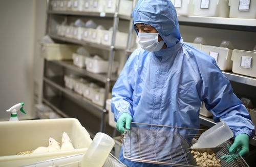 FELASAB欧洲动物实验证介绍及经验分享