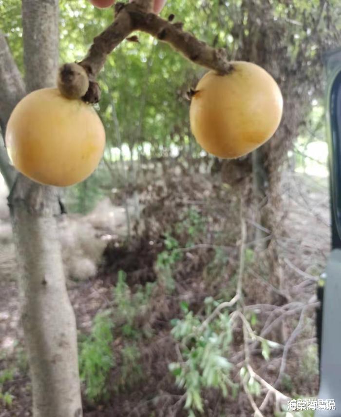 海棠湾情说|“体检时把医生当成了老公？”哈哈哈哈全场尴尬到窒息了！