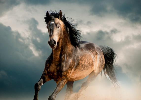 生肖|有望成大器的3个生肖，5月走上坡路，一路顺到12月