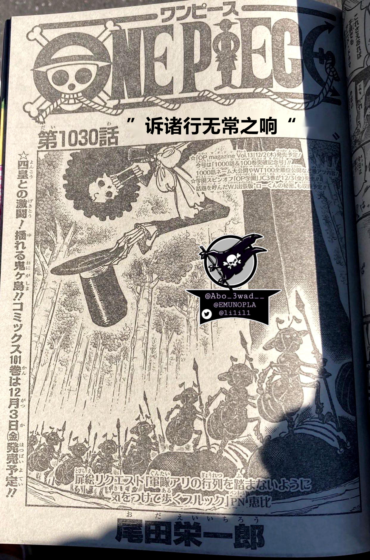 acgn漫评|海贼王1030话：诉诸行无偿之响