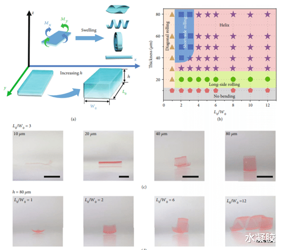  《Research》杜学敏/叶强：单组分天然多糖水凝胶膜的形状变形编辑