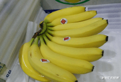 罗医生说健康|小儿积食不能喝粥?医生:不止粥,这3种水果,白送也不要再吃