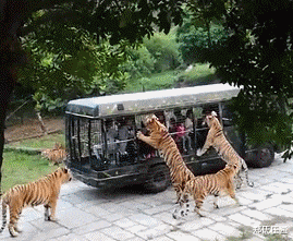 酒店卫生间开始有这种椅子了？这是用来干什么的？