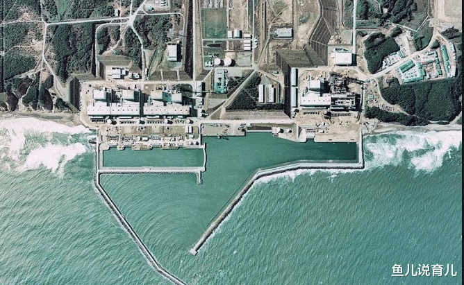 日本福島附近海域放射性物質含量是基準值的5倍，日本專傢懷疑核電站已經在偷排核污染廢水-圖2
