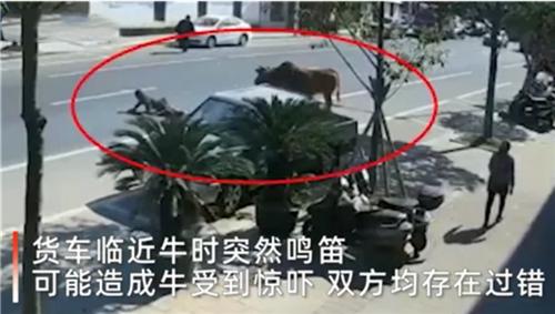 浙江一男子突然鸣笛致牛受惊将主人踢残,家属索赔60万,法院判了