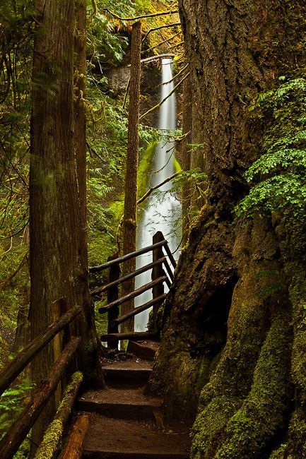 池塘|[经验分享] 【转载】饵料类深度大作--【 论饵通卷 】（6）