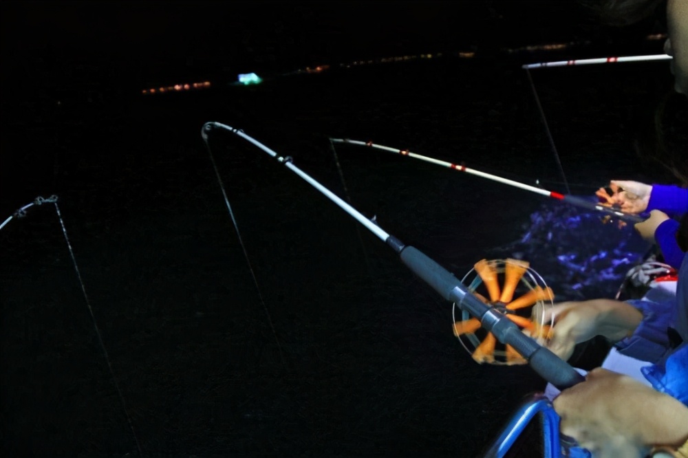 |夏季夜钓的四个注意事项