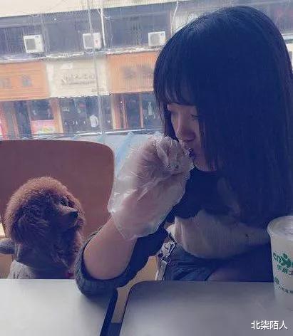 张卫健|“猜猜我在张卫健版本的西游记里发现了谁？”鸡你太美？哈哈哈