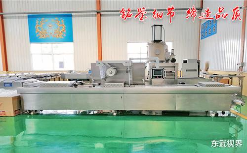|真空食品收缩膜包装机工作流程解析