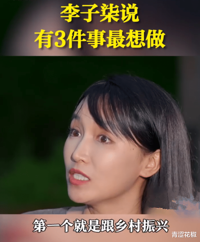 李子柒|李子柒停更数月后上央视专访，与鲁健谈未来规划，想做好三件事