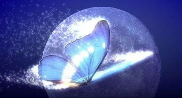 新颖星|冥冥之中，是否真的有力量在指引我们？一切真的是注定的
