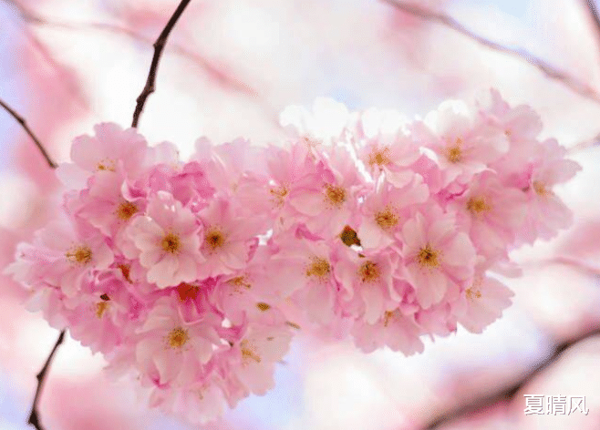 夏晴风|再爱一个人，也别丢了底线