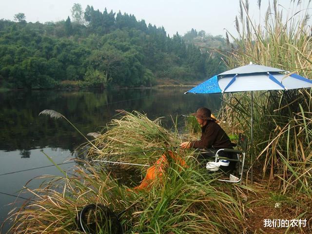 |传统钓和台钓哪个更好？都说野钓不适合用台钓，看看钓友怎么说