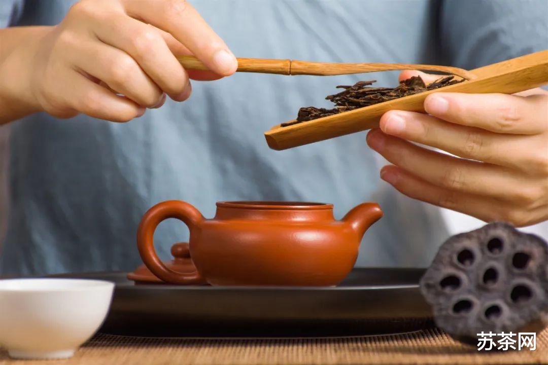 高校|当我们说养紫砂壶时，养的是什么？