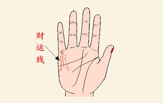 杨坤说生肖命理|财运旺，运势佳的手相