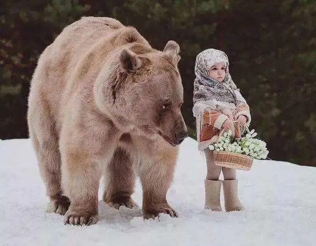 |为什么欧洲人睡的床,全都又小又窄?