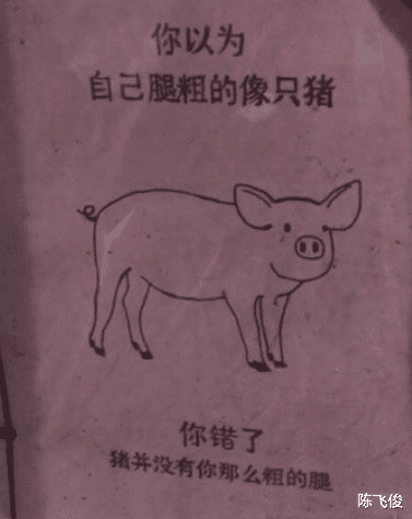 陈飞俊|商家表示每个设计师画的是不一样的，这差距也太大了，找了个新手？