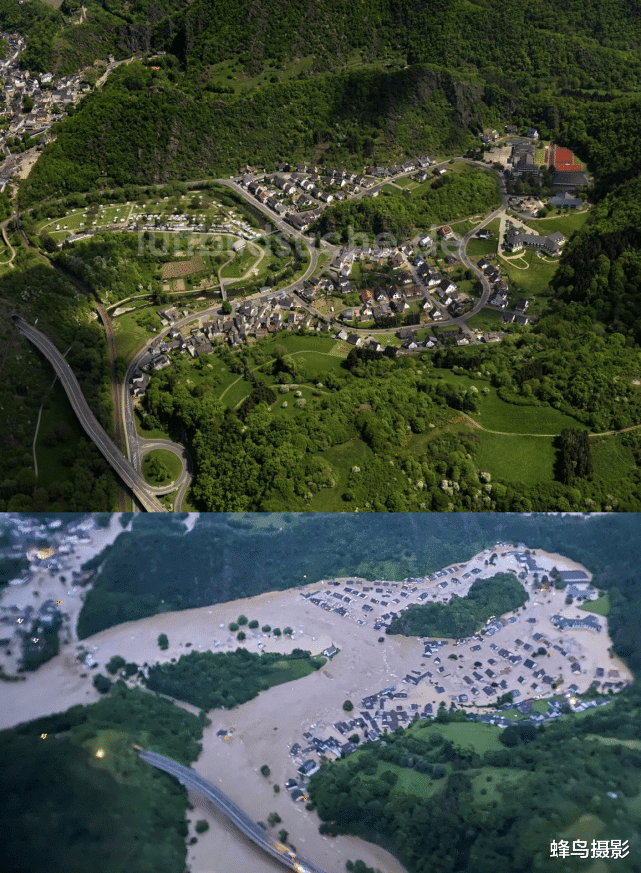 海豹 44张活久未见的照片，驴居然叼着一只狼，大白鲨撞飞海豹跃出水面捕食