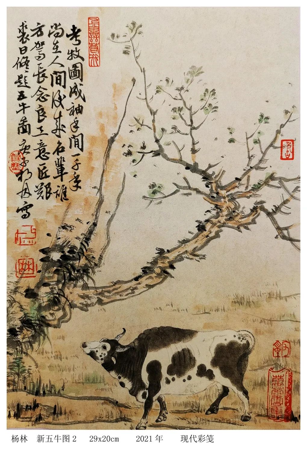 五牛图|牛年画牛！画家杨林对画韩滉《五牛图》