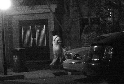 王子文|与王朔同居绯闻、和朴树恋情绯闻、未婚生子，王子文的上位记才绝