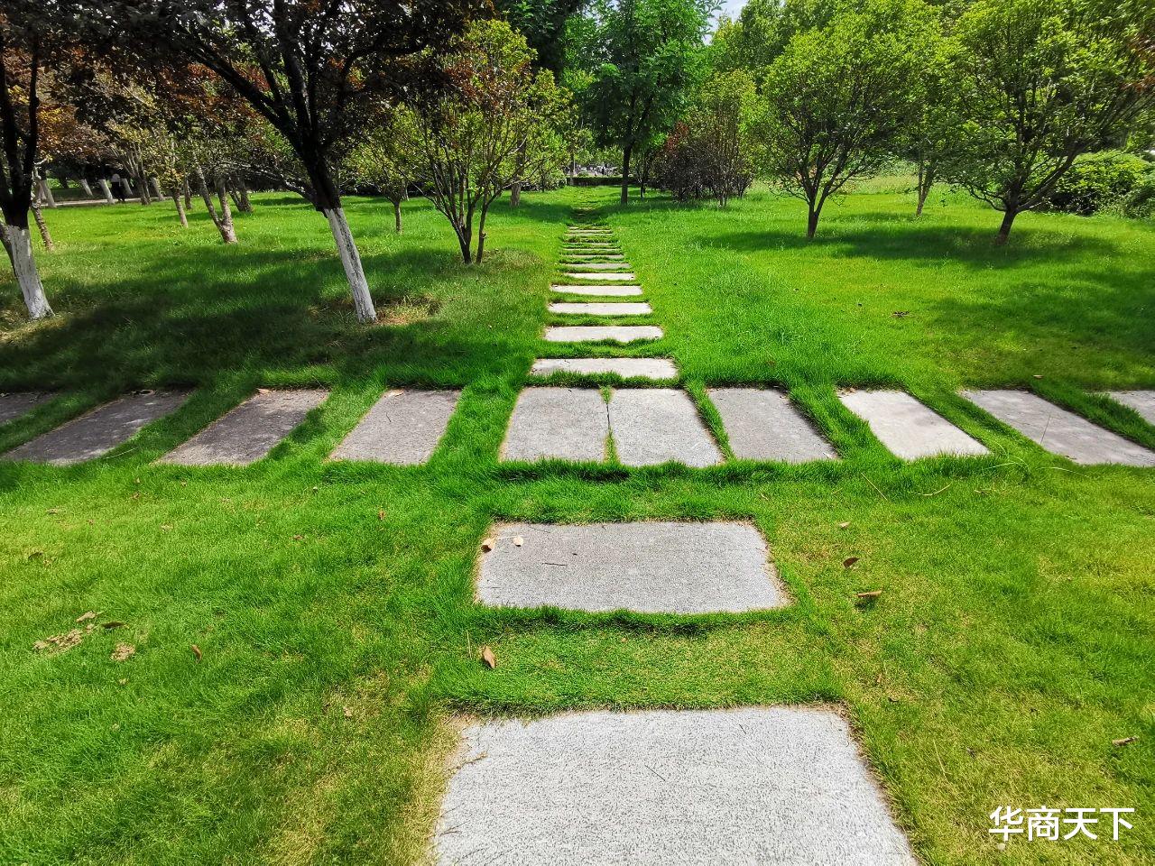 华商天下 仰望星空下的疑惑：我们穷尽一生，究竟在追求什么？