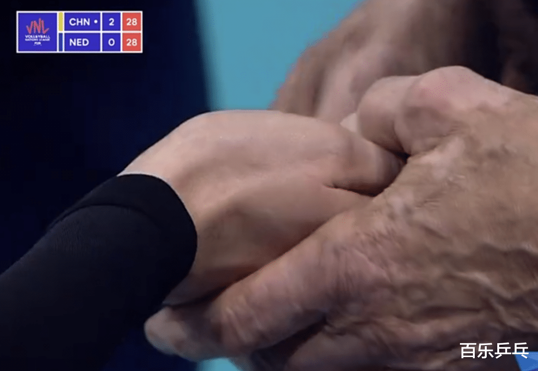 郎平|33-31！女排拒绝大爆冷+横扫荷兰，张常宁扣球把人打伤，郎平真浪