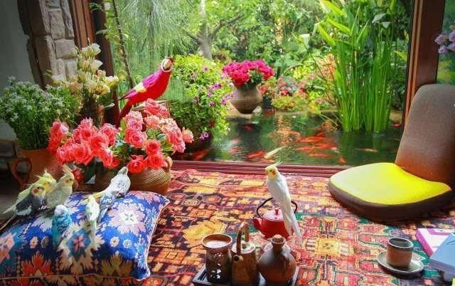 张雨绮|杨丽萍3000万“月亮宫”终被查封，外表鲜亮，里面却很“肮脏”