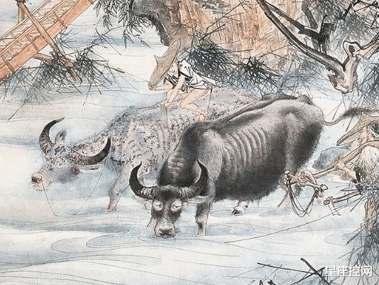 星座控网|这十年，3生肖抬头见贵人，低头捡钱财，高速发展，飞一般成大器