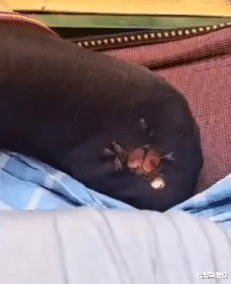 海棠湾情说|“和表婶健身完,出门时她内衬忘了放下来,画面太辣眼!”哈哈哈帮帮忙啊