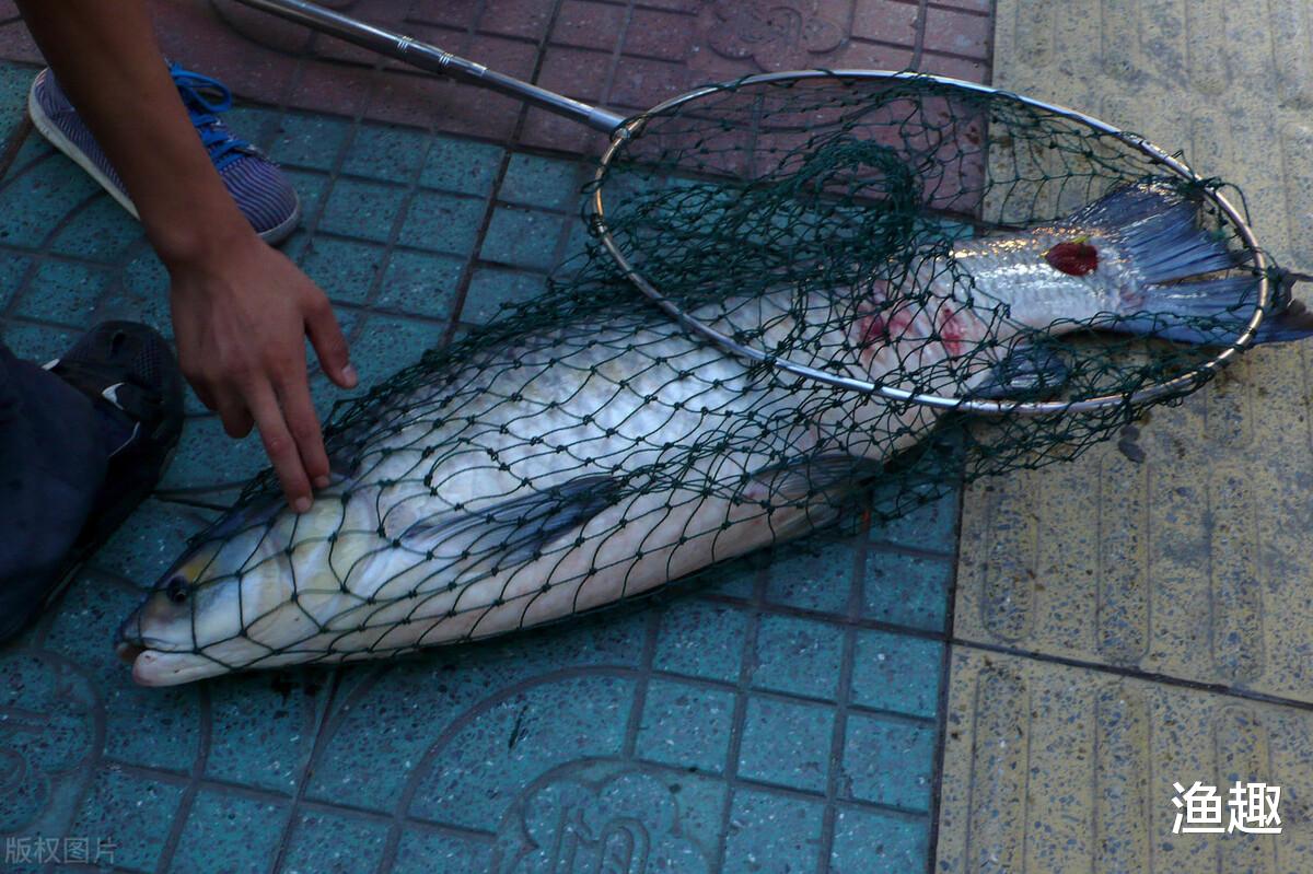 |有4种情况能让钓鱼人吹一辈子，你遇到几次？