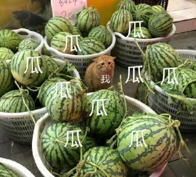 卓伟|2017年，赵丽颖被曝哭诉请求卓伟放过她，7天后卓伟被永久封号！