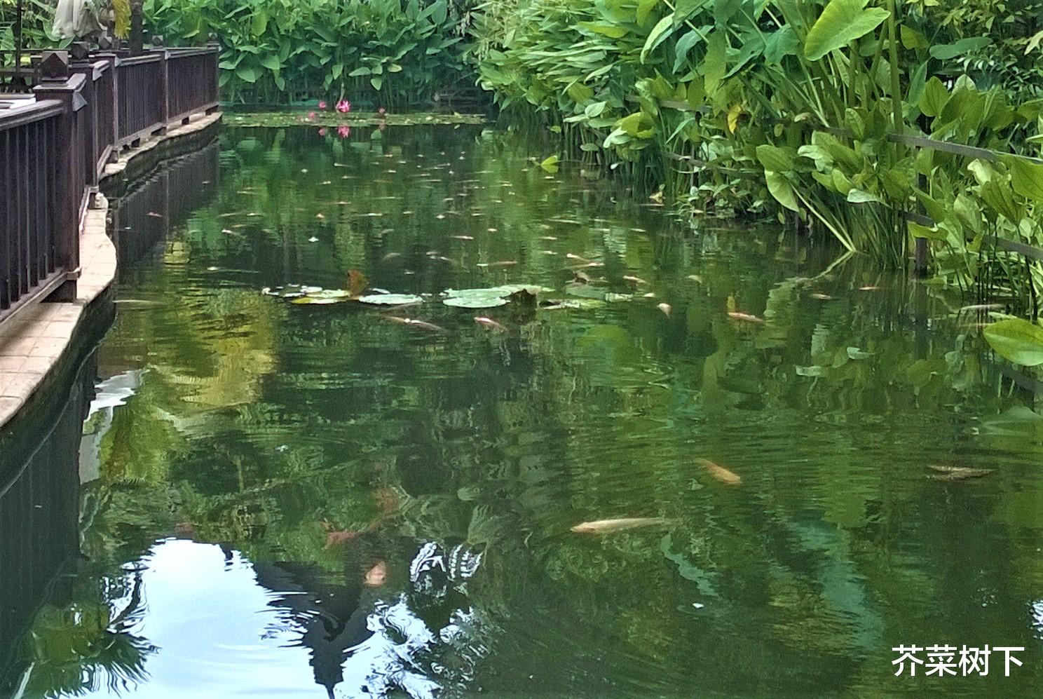 刘涛|说还是不说,职场上这是个问题