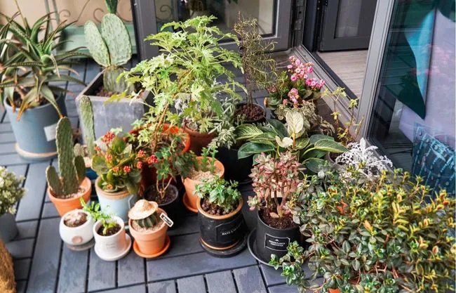 5㎡阳台小花园，一个超治愈的居家休闲空间