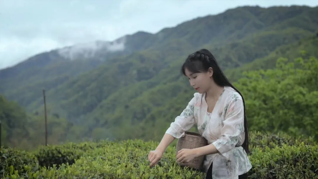 瞿颖|李子柒，俗人一个