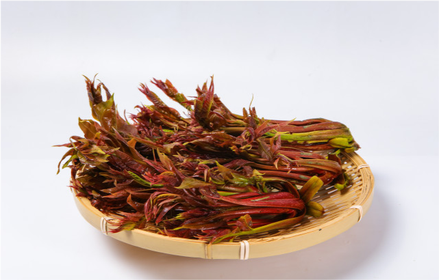 北庭美体健康圈 血脂高的人要多吃“素食”？未必！医生提醒：这5种蔬菜要少碰