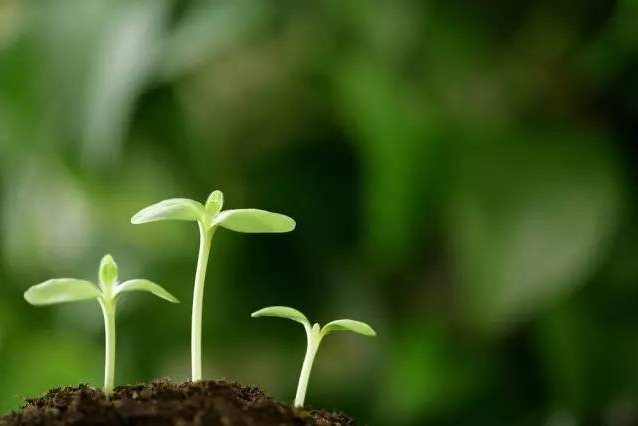 养生|养生不是做加法，而是给身体做减法 ！