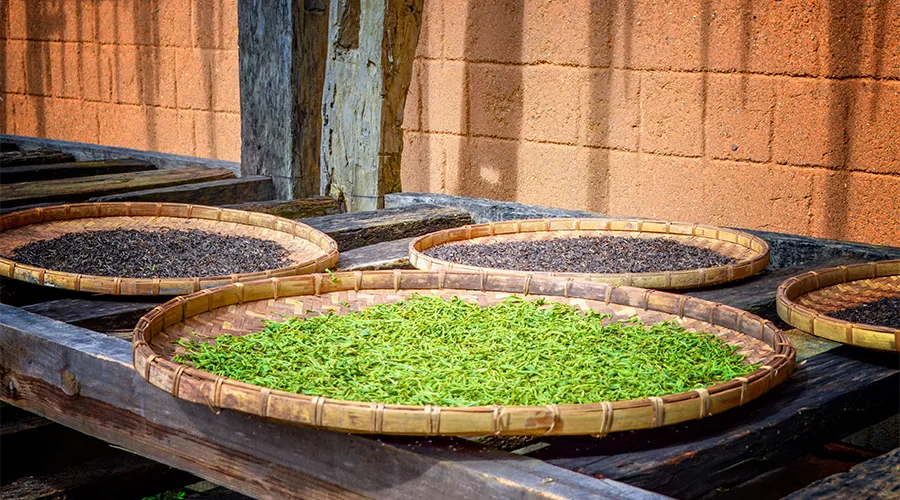 普洱茶|注意了，普洱茶不能和这些食物一起吃，有害于身体健康！