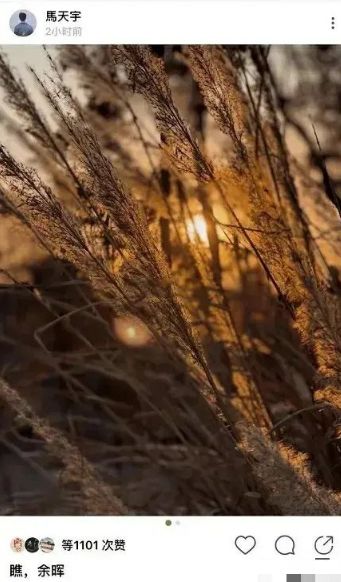 郑爽|郑爽不正常？井柏然马天宇纷纷发声，粉丝忙提醒：不该理的别理