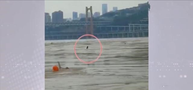 悦姐儿知识|重庆黑多好心人，众人合力施救，四川跳江轻生小伙转危为安