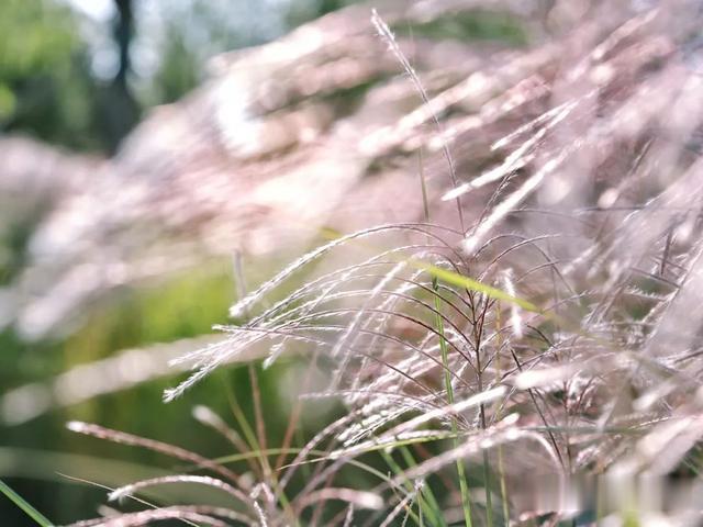 北京吃货小分队 北京新晋网红打卡地，你都去过了吗