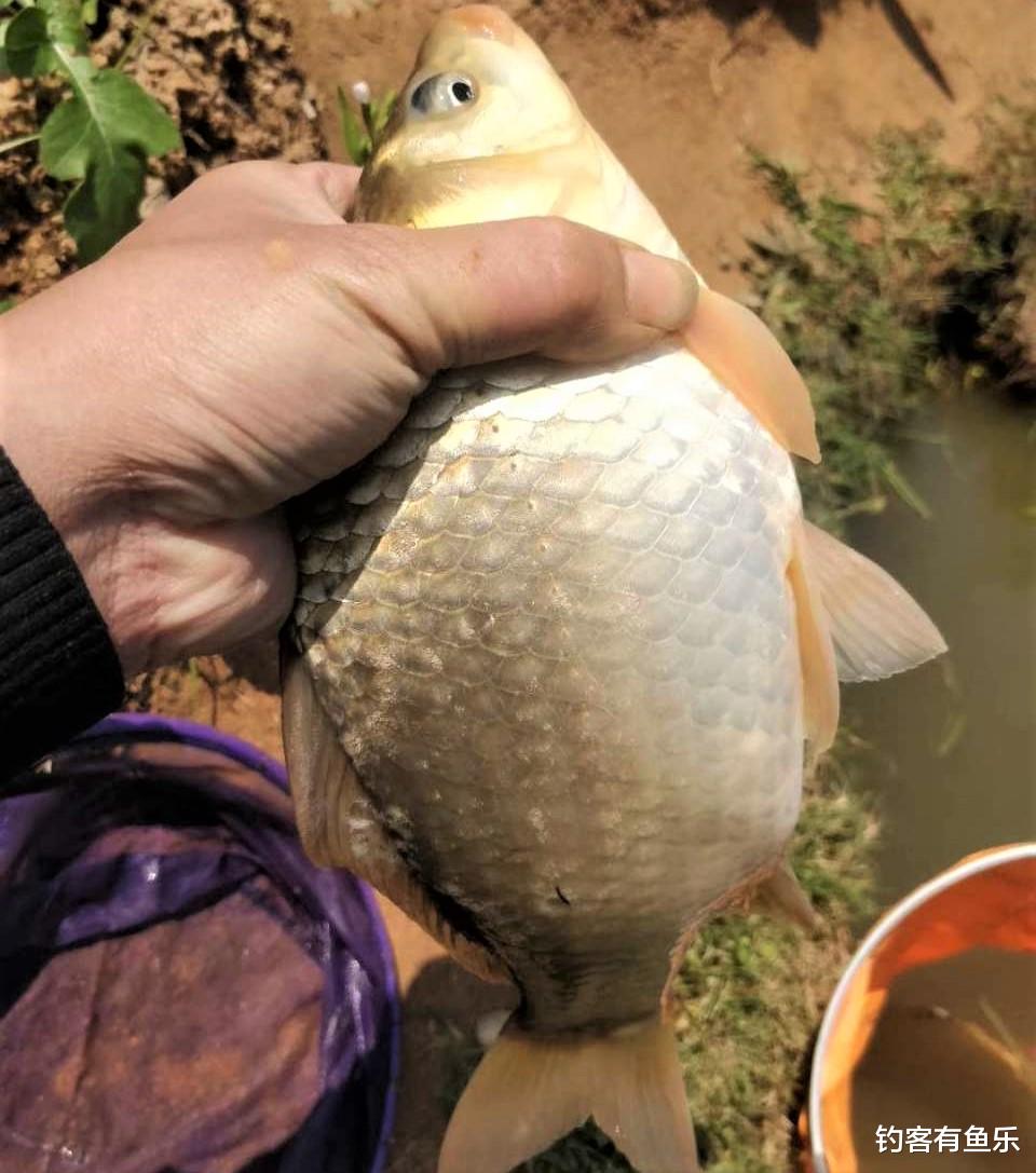 饵料|别人钓鱼爆护，你钓鱼空军，不是你钓技不好，只是没注意这些细节