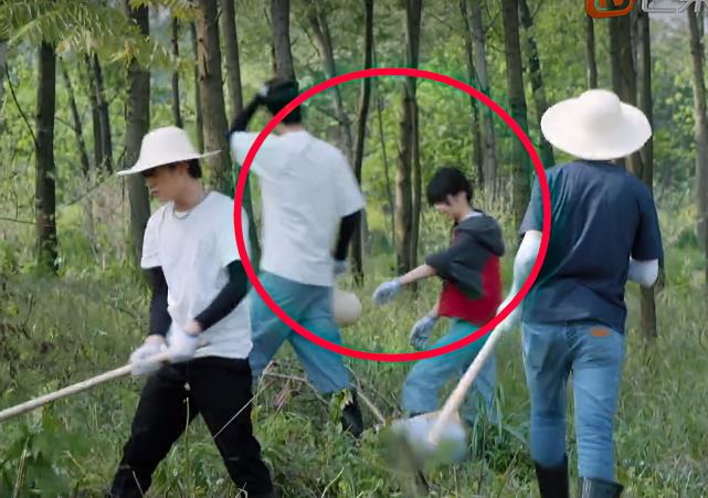 彭昱畅|彭昱畅为啥看不惯梁靖康？谁注意张子枫下地后的第1件事，忍不了