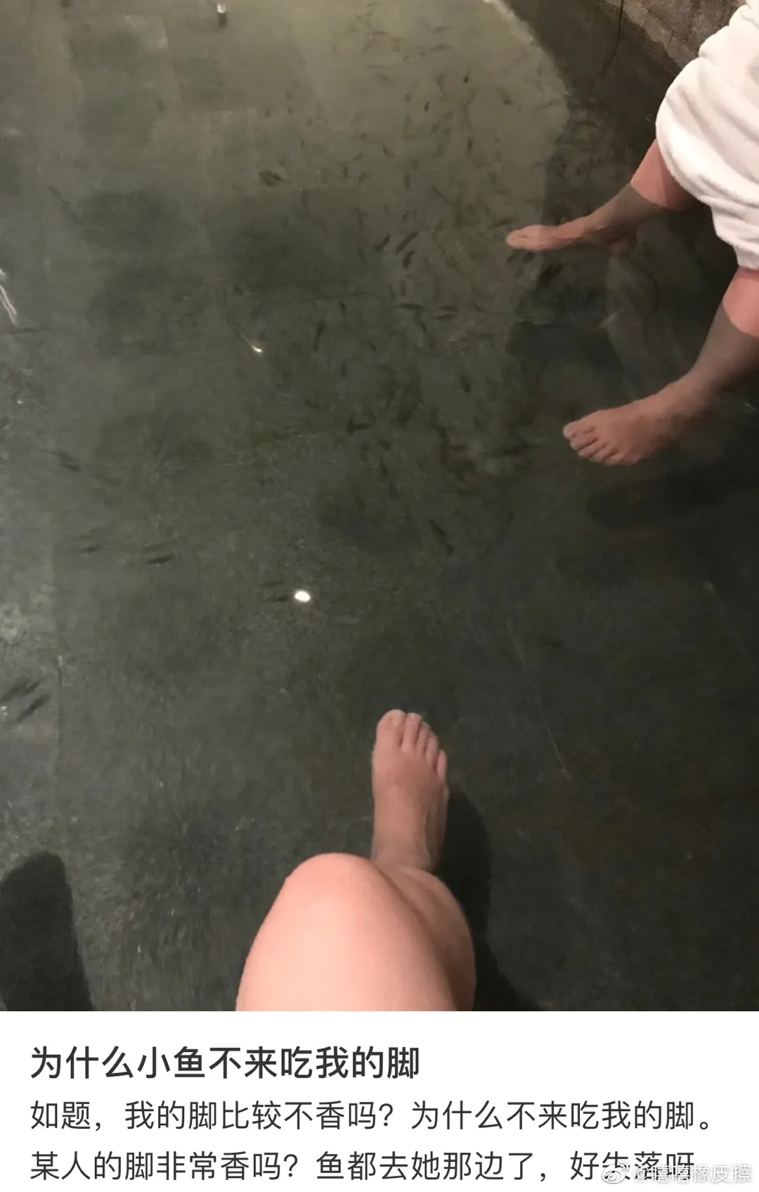 动漫龙珠二次元 蔡少芬在商场插队，被网友曝光“话都讲不通”，就离谱哈哈哈哈