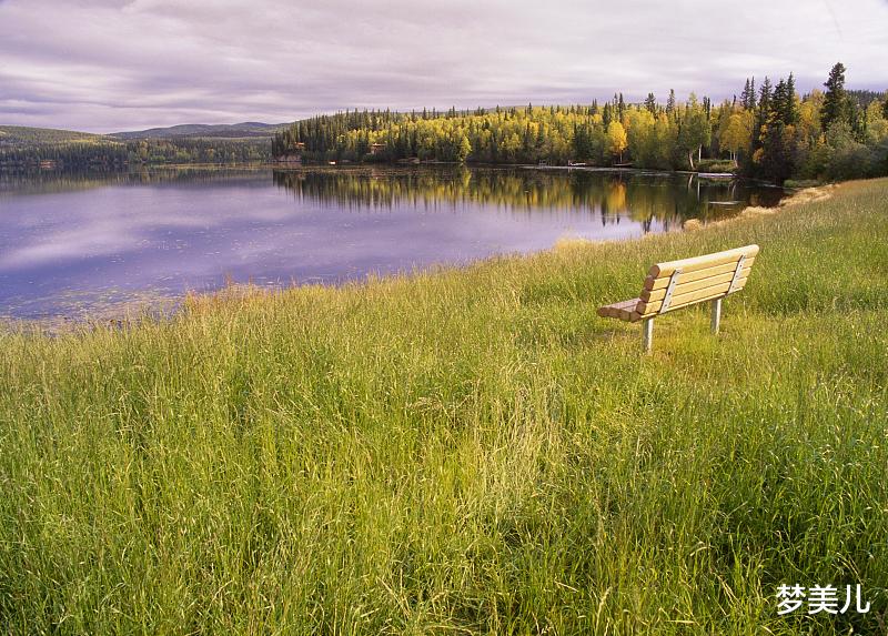 梦美儿 活着不容易，不要总想太多，累了心垮了身体