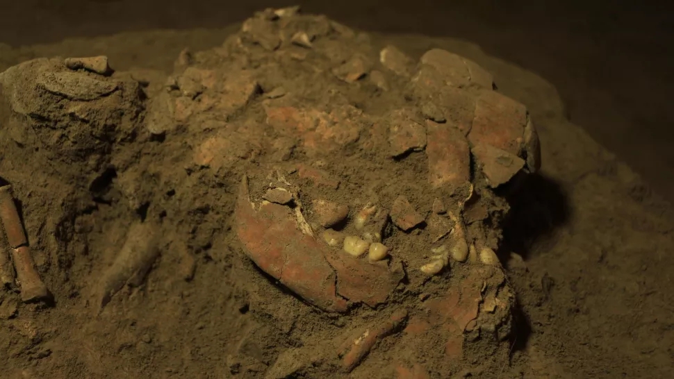 英国|科学家发现早已灭绝的人类血统？证实古代人类迁徙与交融从未停止