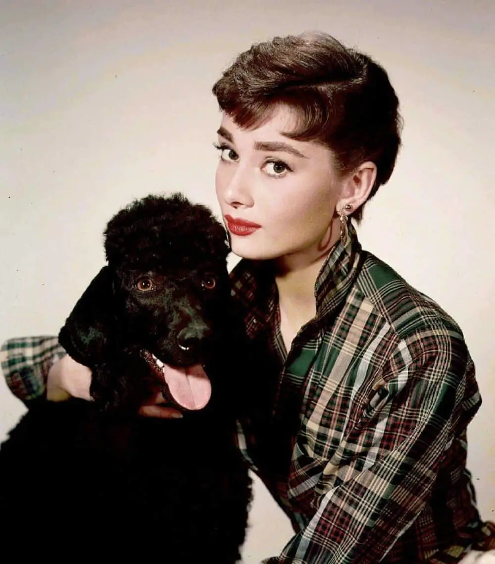 吉克隽逸|瞒了20年，陈坤周迅关系终于曝光！原来他们还有一个孩子？！