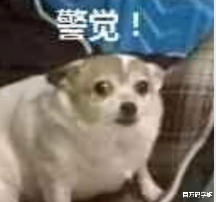 |长期在公司被随意使唤的人，常有3个习惯，若不改，会一直被欺负